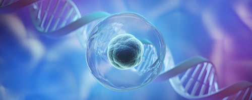 Preimplantation Genetic Screening